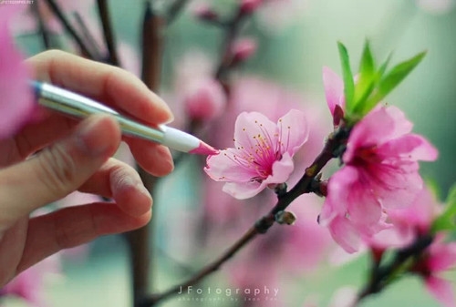 2023年高贵神秘的女生网名(精选59个)