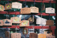 2023独特网名带符号的网名(精选49个)