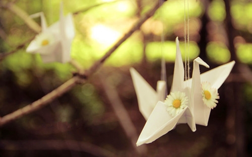 2023年女的微信网名独一无二(45个) 2023年女的微信网名独一无二(45个)