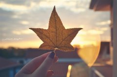 父母对孩子的成长寄语和期望(精选59句)