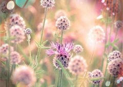 睡前必备的情话(45句)