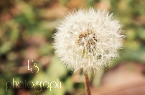 人生的道路千万条的经典句子(48句)