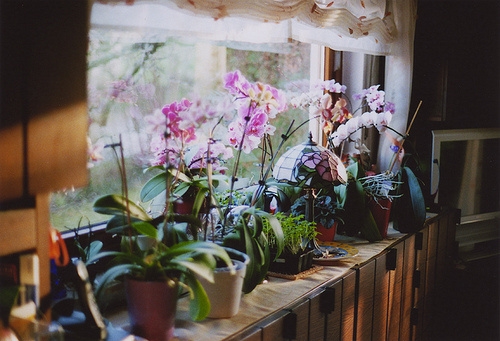 撩人情话高情商的句子(59句)