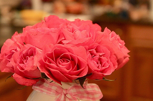 赞美老师的句子经典语录(精选46句)