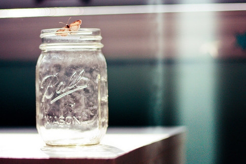 早上问候语正能量(精选58句) 早上问候语正能量(精选58句)