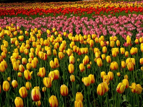 封面文字短句(精选54句) 封面文字短句(精选54句)