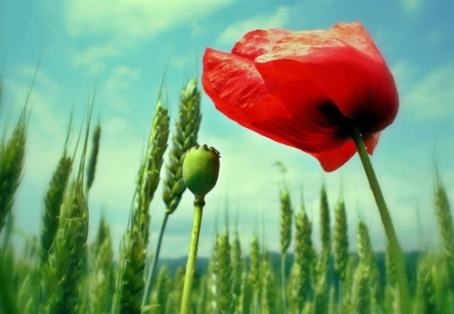 男士网名成熟霸气的稳重(精选45个)