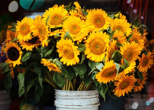 祝男闺蜜生日的长句子(51句)