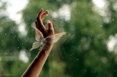 接财神的祝福短句子(精选46句)