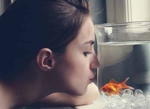 有内涵的骚气网名(45个)