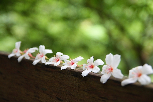 做梦醒来以后发朋友圈(51句) 做梦醒来以后发朋友圈(51句)