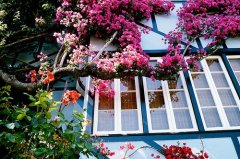 明信片小清新温暖寄语(精选49句)