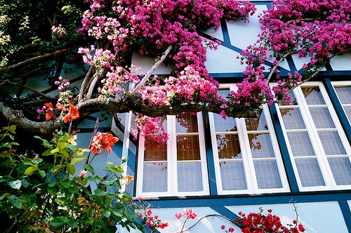 明信片小清新温暖寄语(精选49句)