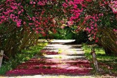 生活多一点微笑的句子(精选53句)