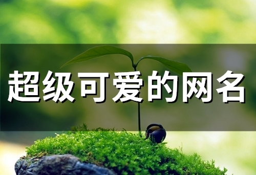 2023超级可爱的网名(50个) 2023超级可爱的网名(50个)