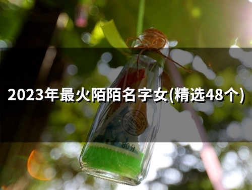 2023年最火陌陌名字女(51个)