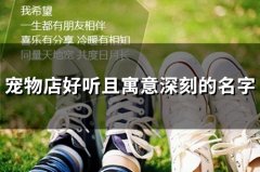 宠物店好听且寓意深刻的名字(精选53个)