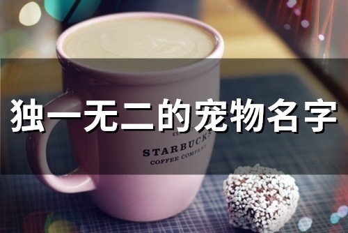 独一无二的宠物名字(53个)
