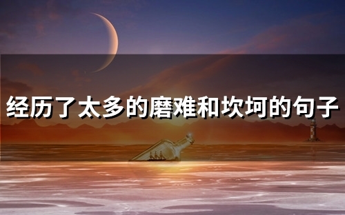 经历了太多的磨难和坎坷的句子(精选53句)