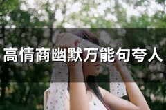 高情商幽默万能句夸人(27句)