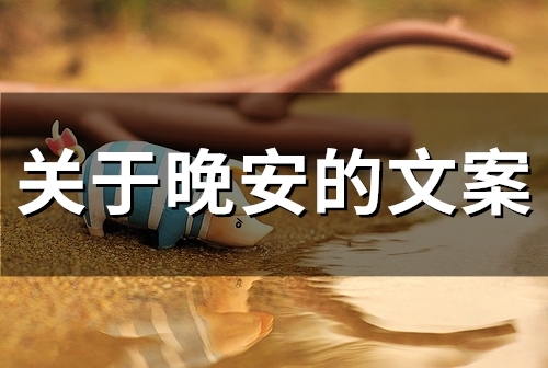 关于晚安的文案(49句) 关于晚安的文案(49句)