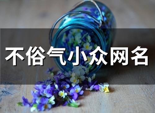 不俗气小众网名(精选55个)