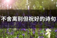 不舍离别但祝好的诗句(56句)