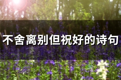 不舍离别但祝好的诗句(56句) 不舍离别但祝好的诗句(56句)