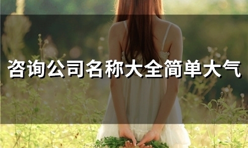 咨询公司名称大全简单大气(51个)