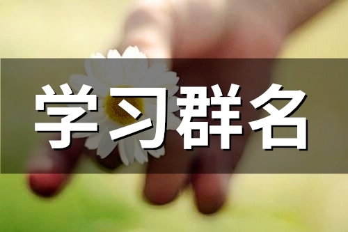 学习群名(51个)