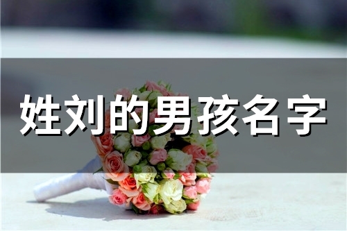 姓刘的男孩名字(精选46个)