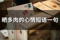 晒多肉的心情短语一句(精选50句)