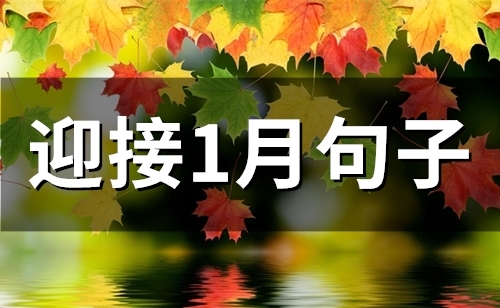 迎接1月句子(精选44句)