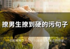 撩男生撩到硬的污句子(54句)