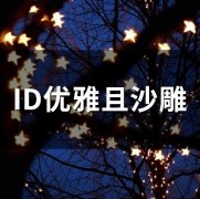 ID优雅且沙雕(精选49个)