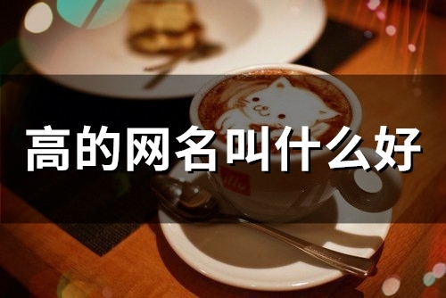 高的网名叫什么好(45个)