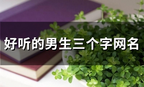 好听的男生三个字网名(59个)