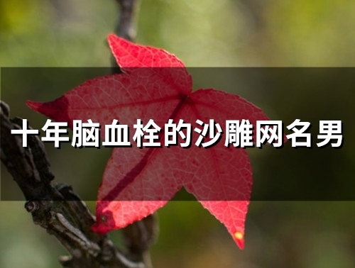 十年脑血栓的沙雕网名男(精选33个)