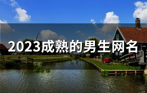 2023成熟的男生网名(57个)