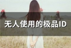 无人使用的极品ID(精选52个)