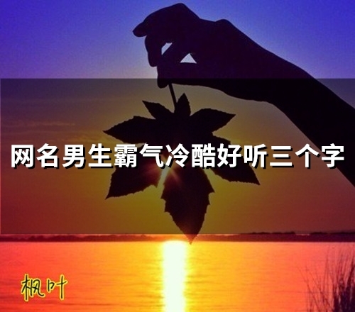网名男生霸气冷酷好听三个字(精选48个) 网名男生霸气冷酷好听三个字(精选48个)