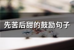 先苦后甜的鼓励句子(精选50句)