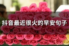 抖音最近很火的早安句子(54句)