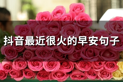 抖音最近很火的早安句子(54句)