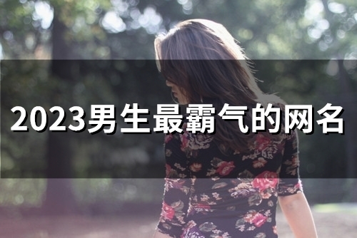 2023男生最霸气的网名(48个) 2023男生最霸气的网名(48个)