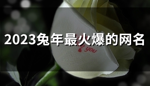2023兔年最火爆的网名(54个)