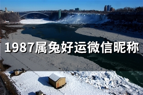 1987属兔好运微信昵称(51个) 1987属兔好运微信昵称(51个)