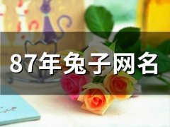 87年兔子网名(75个)