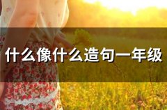 什么像什么造句一年级(50句)