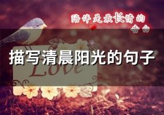 描写清晨阳光的句子(精选40句)